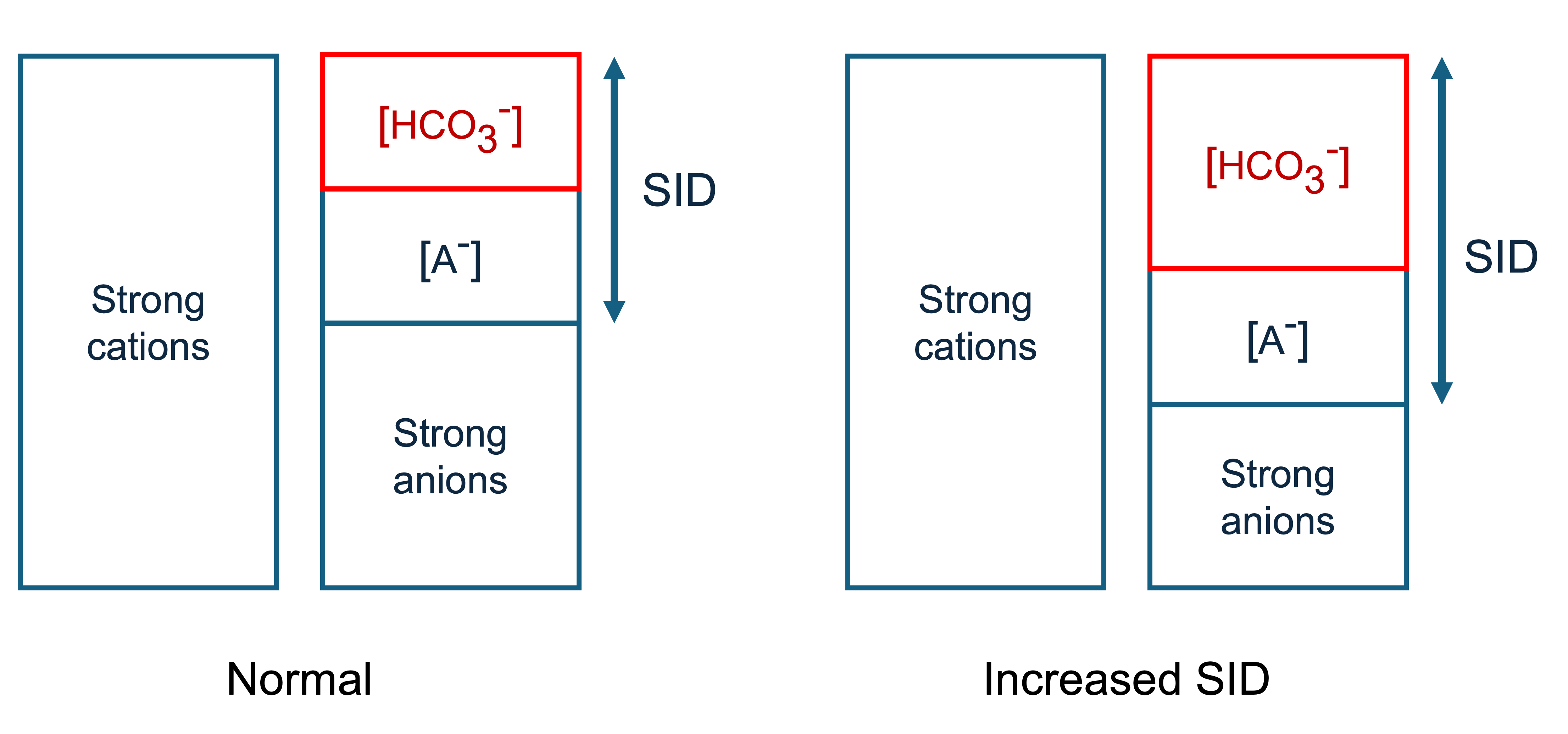 Strong ion difference